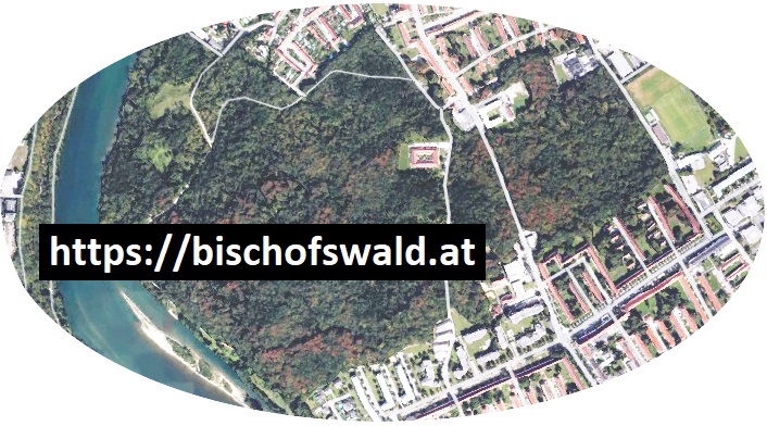 bischofswald